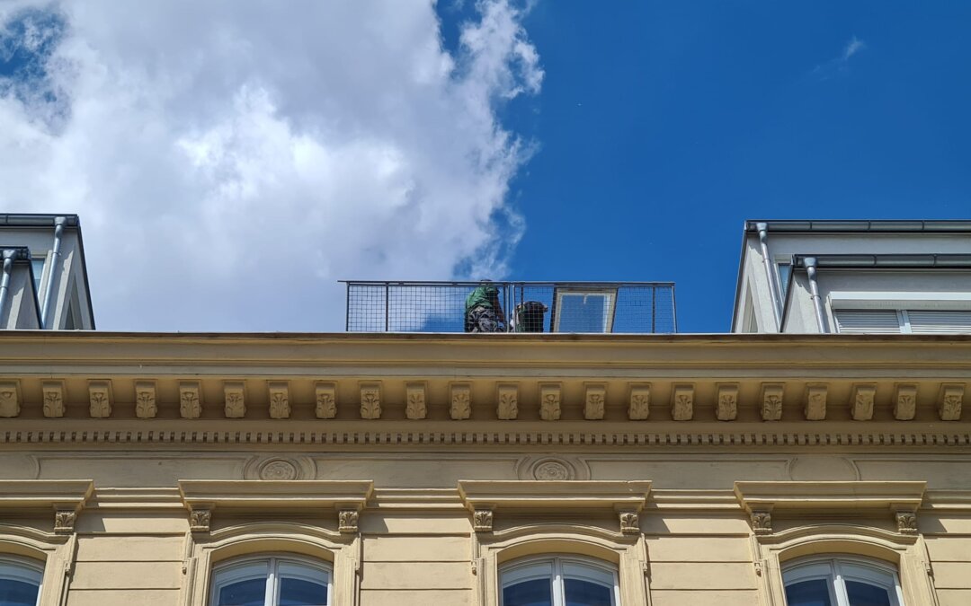 Wohnungssanierung in 1090 Wien